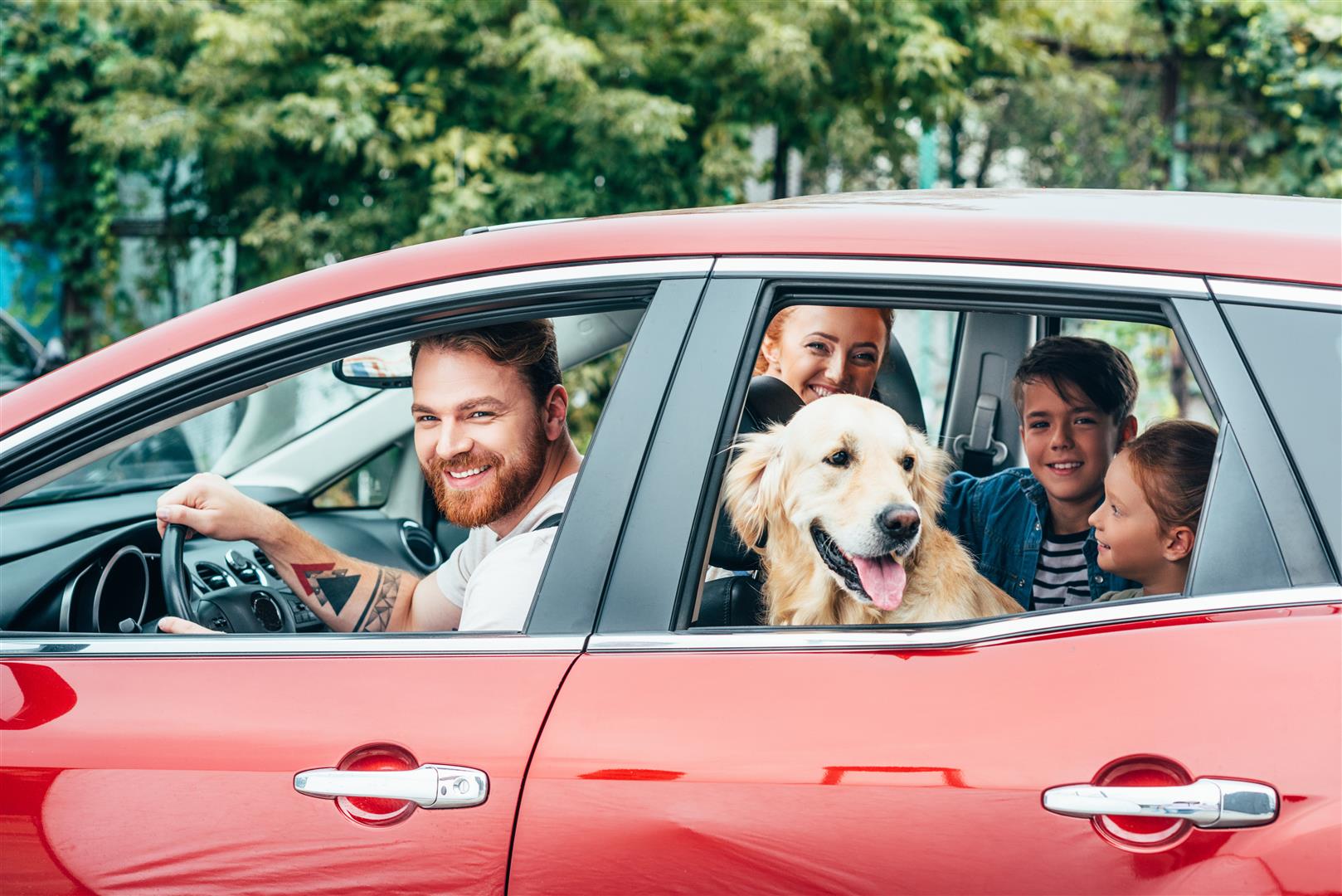 A Safe Guide for Roadtripping Pets